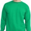 Men's EcoSmart Sweatshirt (2 Pack)