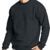 Men's EcoSmart Sweatshirt (2 Pack)